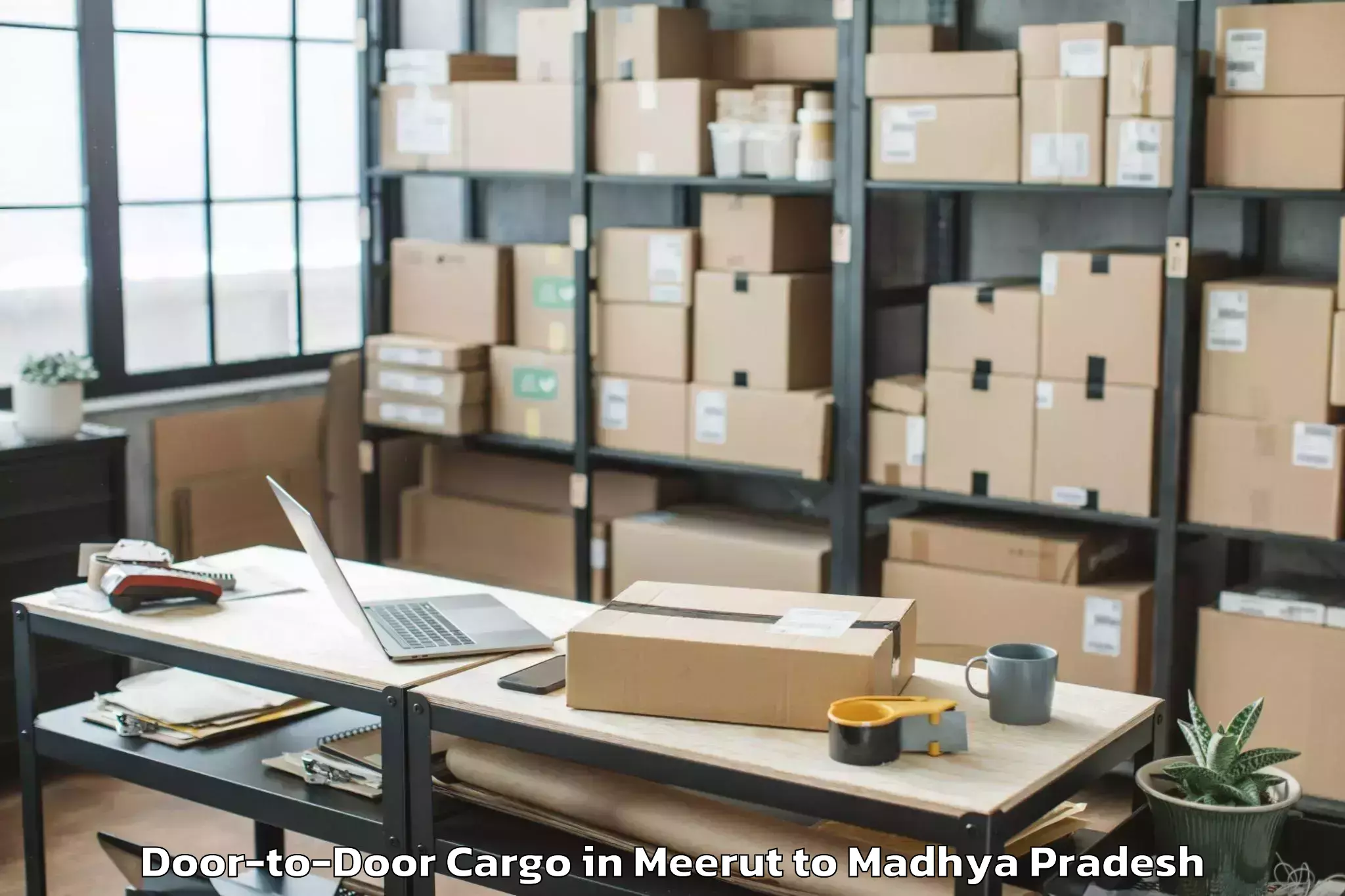 Efficient Meerut to Sanawad Door To Door Cargo